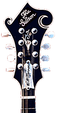 Gibson F5 Peghead